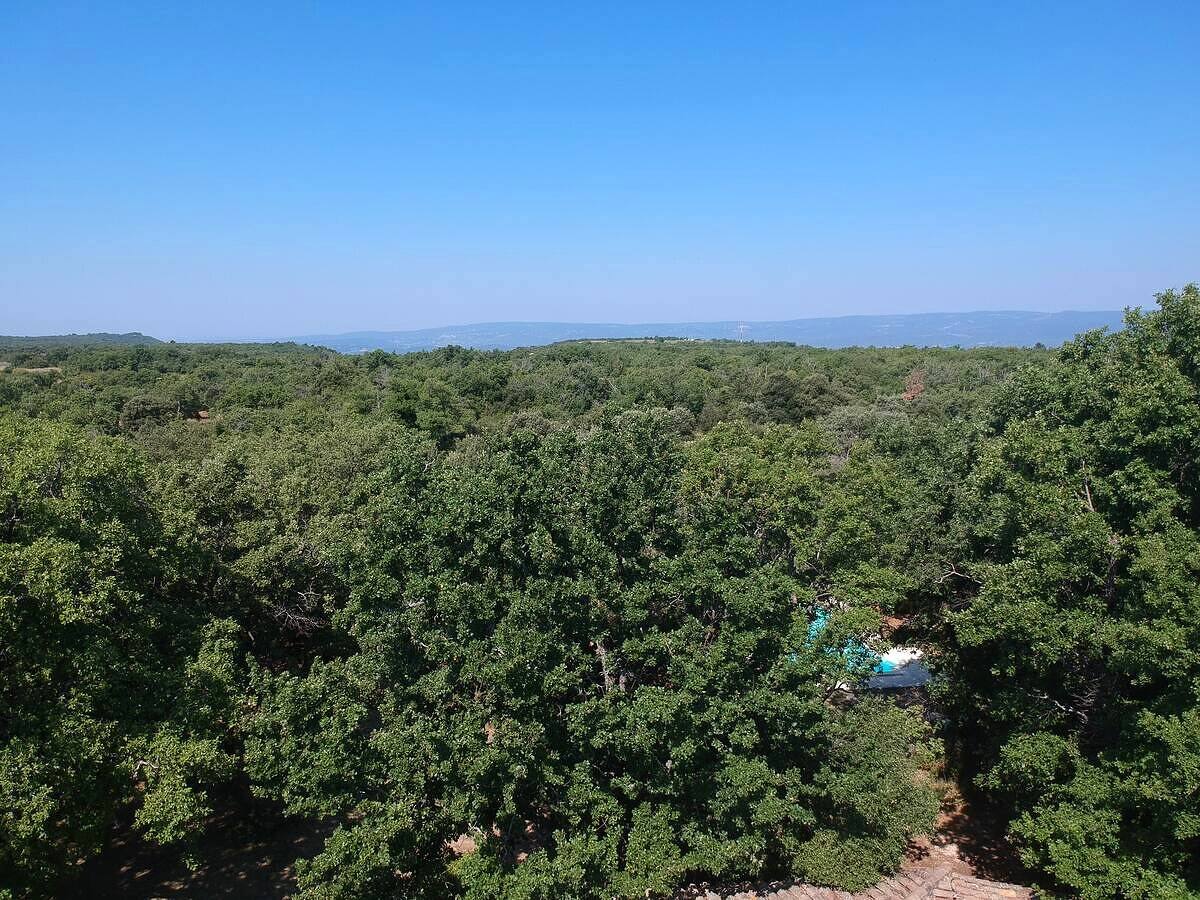 Vue aérienne Ventoux - forêt et piscine du Jas